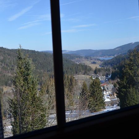 Ferienwohnung Seeblick Nr 4 2-Zimmer, Baerental, Feldberg Rotwasser エクステリア 写真